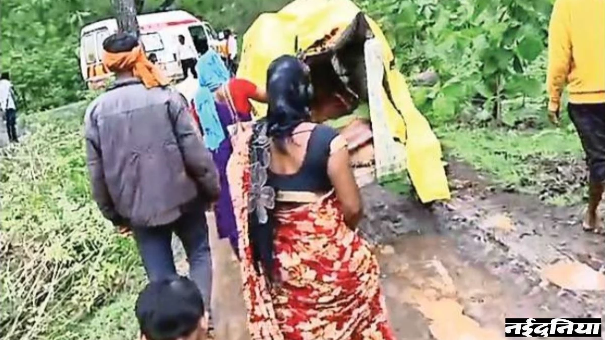 MP में हेल्थ सिस्टम का ये हाल... 'जननी' ने बैलगाड़ी पर किया साढ़े तीन किमी का सफर.. तब मिली 'एक्सप्रेस'