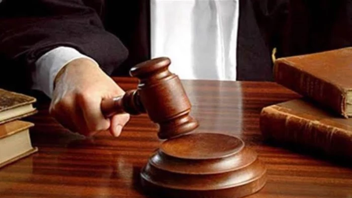 रेरा चेयरमैन नियुक्ति पर हाईकोर्ट सख्त, सिर्फ रिटायर IAS नहीं; सभी योग्य उम्मीदवारों से मांगे जाएंगे आवेदन