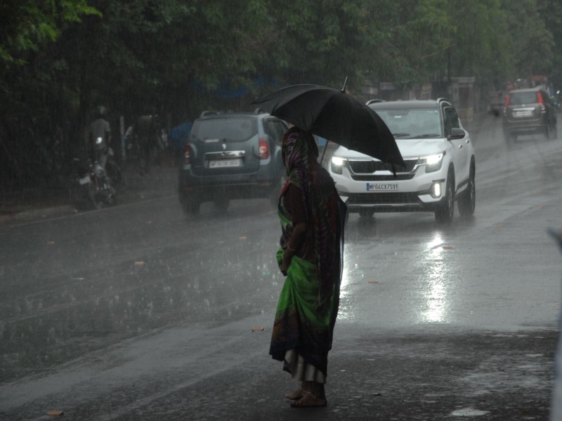 Heavy Rain Red Alert in MP: ग्वालियर, चंबल में भारी बारिश का रेड अलर्ट, भोपाल, उज्जैन संभाग सहित छतरपुर, टीकमगढ़, सागर में भी झमाझम के आसार