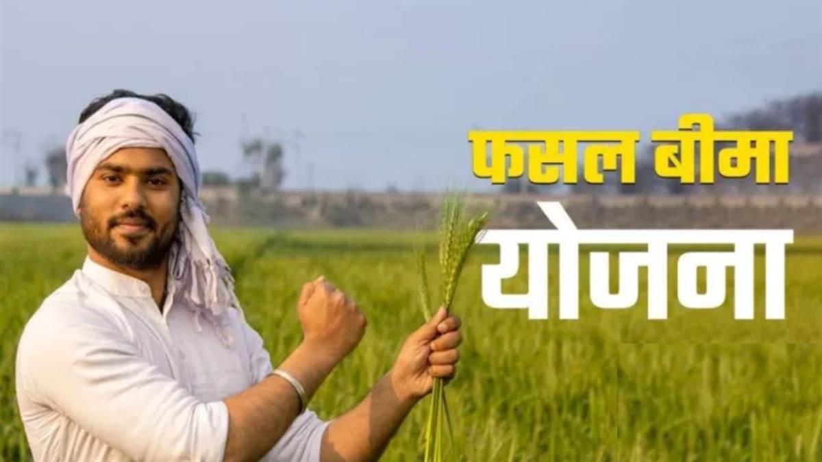 किसान ध्यान दें: फसल बीमा कराने की अंतिम तिथि बढ़कर हुई 17 अगस्त; अब तक ग्वालियर जिले के 42,700 किसान करा चुके हैं इंश्योरेंस