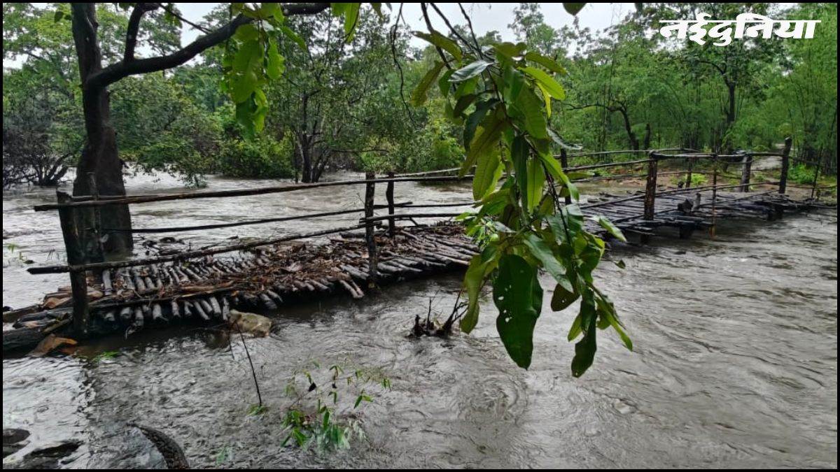 छत्तीसगढ़ के 14 गांवों को मिली राहत, अबूझमाड़ में उफनते नालों पर जवानों ने खड़े किए पुल, सुरक्षित हुई आवाजाही