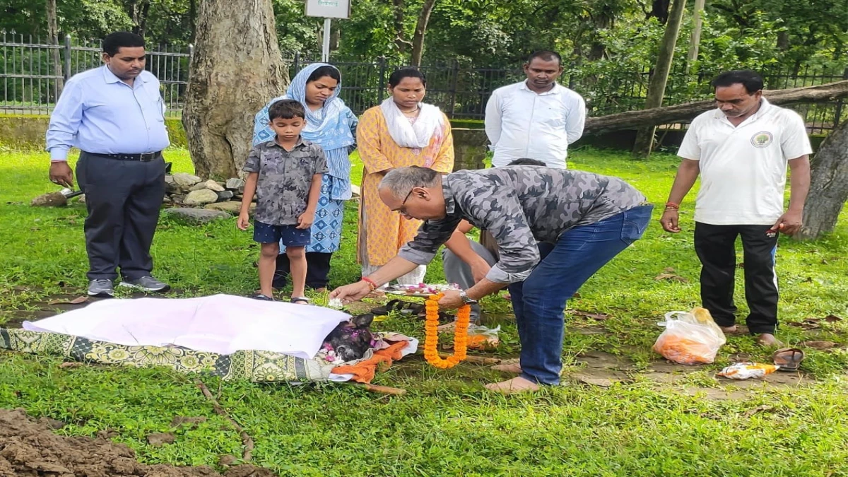 अचानकमार टाइगर रिजर्व का स्निफर डॉग नेरो नहीं रहा, 132 आरोपितों को पहुंचाया था सलाखों के पीछे