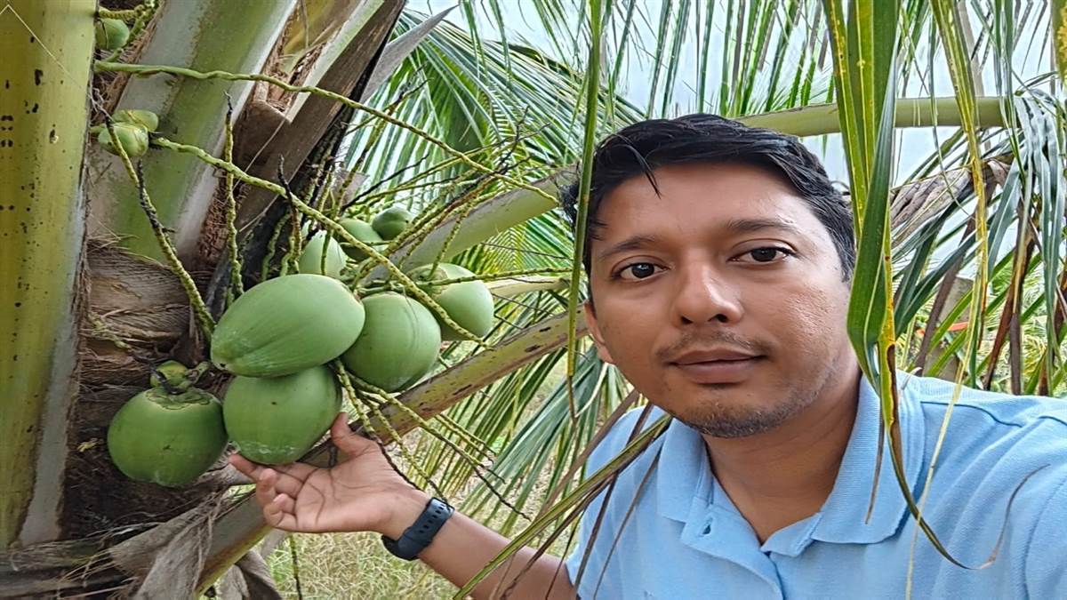 विश्व नारियल दिवस: नारियल की छांव में खिले खुशहाली के फूल, कोंडागांव से प्रदेशभर में फैल रहा खेती का नया मॉडल