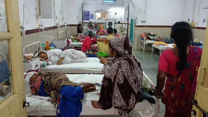 खाली प्लाट बने मच्छरों की ‘नर्सरी’, बुखार का ट्रिपल अटैक; जबलपुर के सरकारी आंकड़ों से कहीं बड़ा खतरा