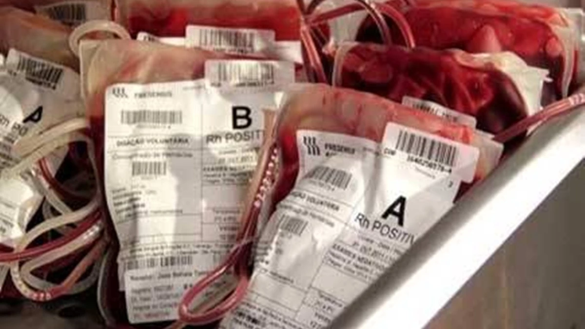 MP News: भोपाल एम्स के ब्लडबैंक से खून की कालाबाजारी, प्लाज्मा बेचता आउटसोर्स कर्मचारी पकड़ाया