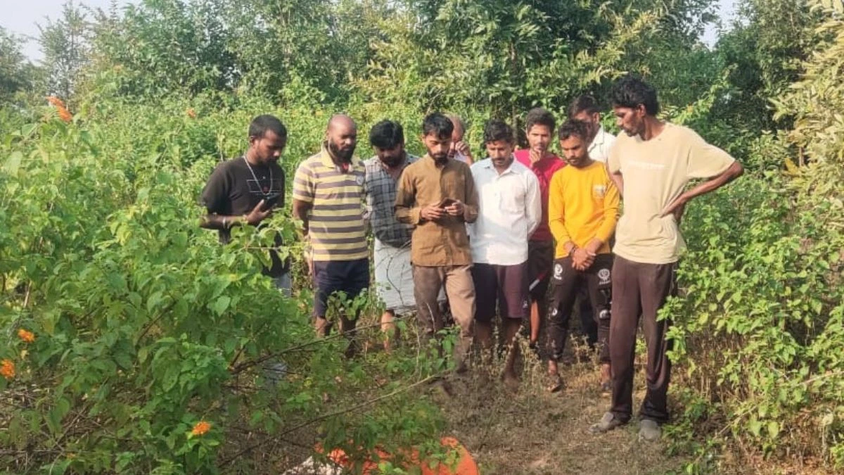 Elephants in Umaria: उमरिया जिले के देवरा में जंगली हाथियों का आतंक, दो लोगों को कुचलकर मारा