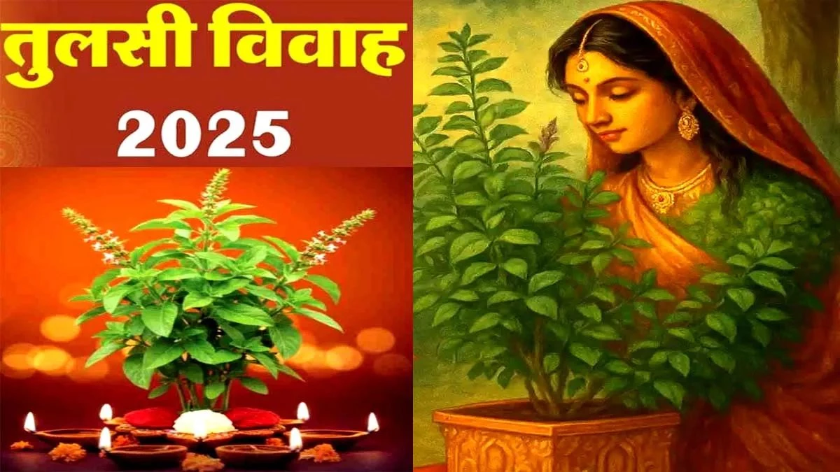 Tulsi Vivah 2025: आज है तुलसी विवाह, जानें शुभ मुहूर्त, पूजा विधि और तुलसी-शालिग्राम विवाह का महत्व