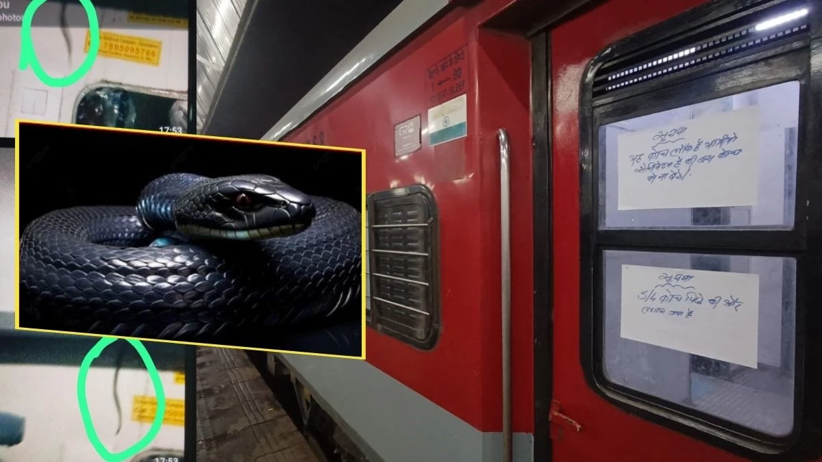Snake in Train: आसनसोल-मुंबई सुपरफास्ट के स्लीपर कोच में निकला सांप, जबलपुर स्टेशन में रोक 2 घंटे ढूढ़ते रहे लोग