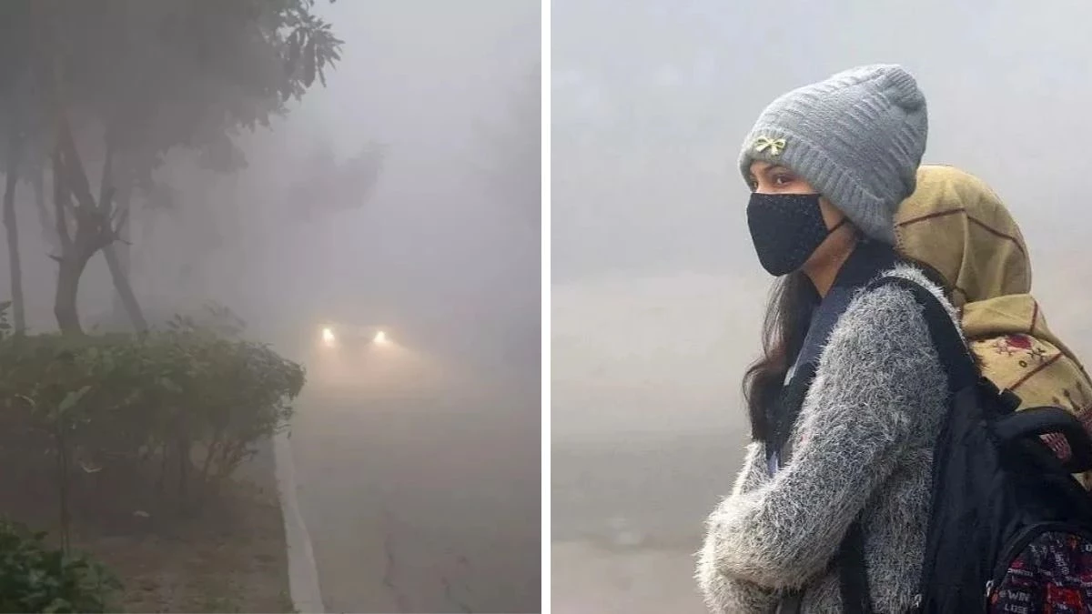 Weather Update: MP-राजस्थान-UP सहित कई राज्यों में शीतलहर का डबल अलर्ट, उत्तर भारत में 10 दिन पड़ेगी कड़ाके की सर्दी!