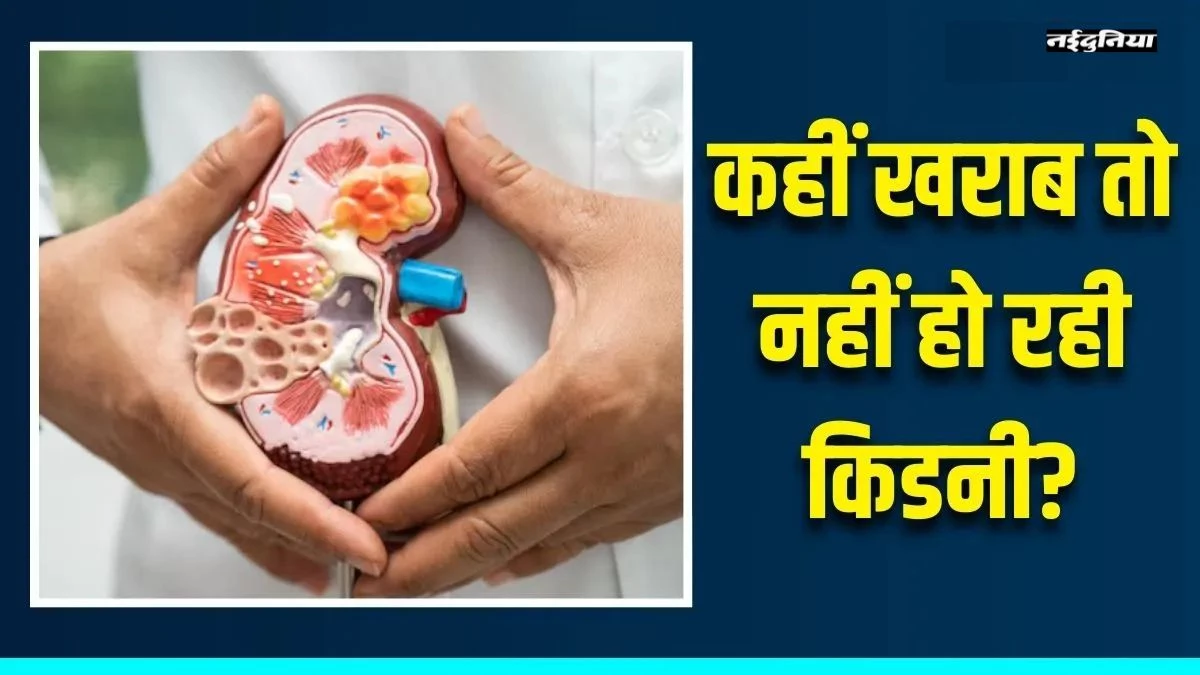 Kidney Disease Symptoms: किडनी खराब होने पर यूरिन से पहले दिखते हैं ये संकेत, न करें नजरअंदाज
