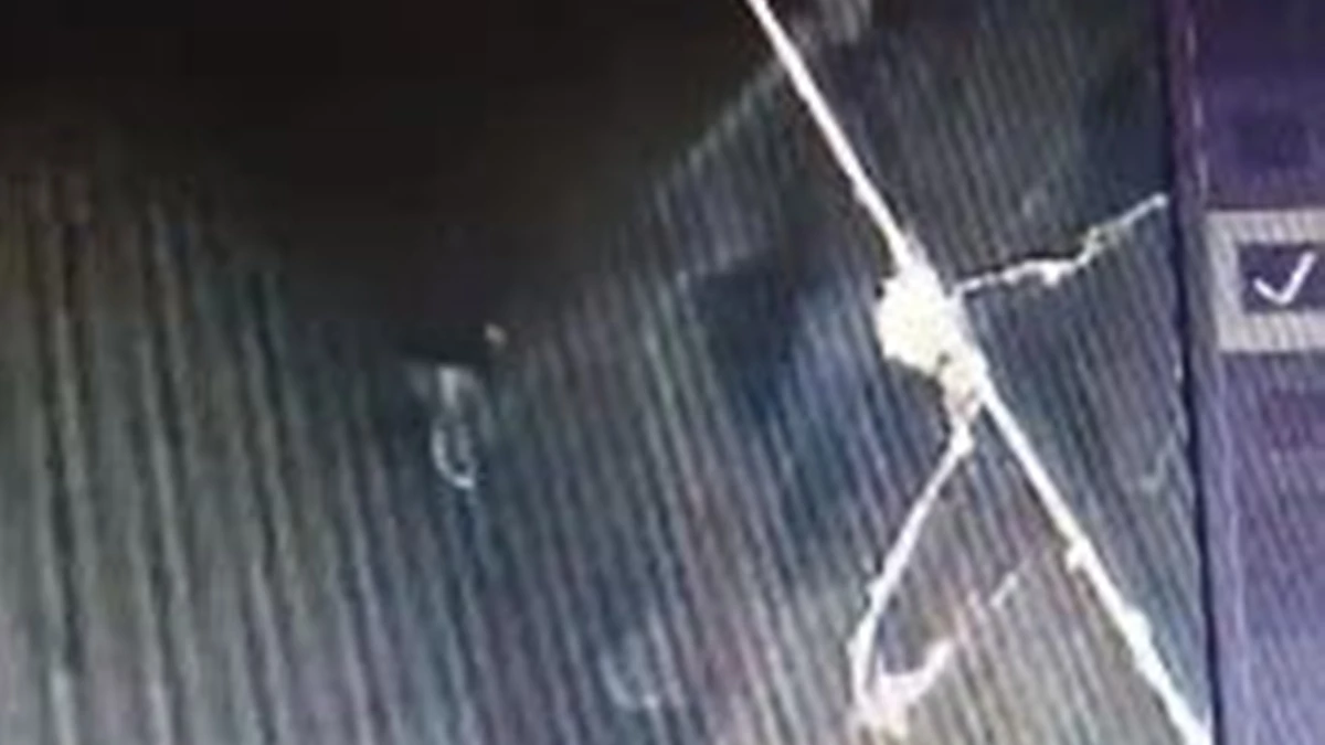 बहन के बारे में अश्लील कमेंट करता था, सिर पर पत्‍थर मार-मारकर हत्‍या