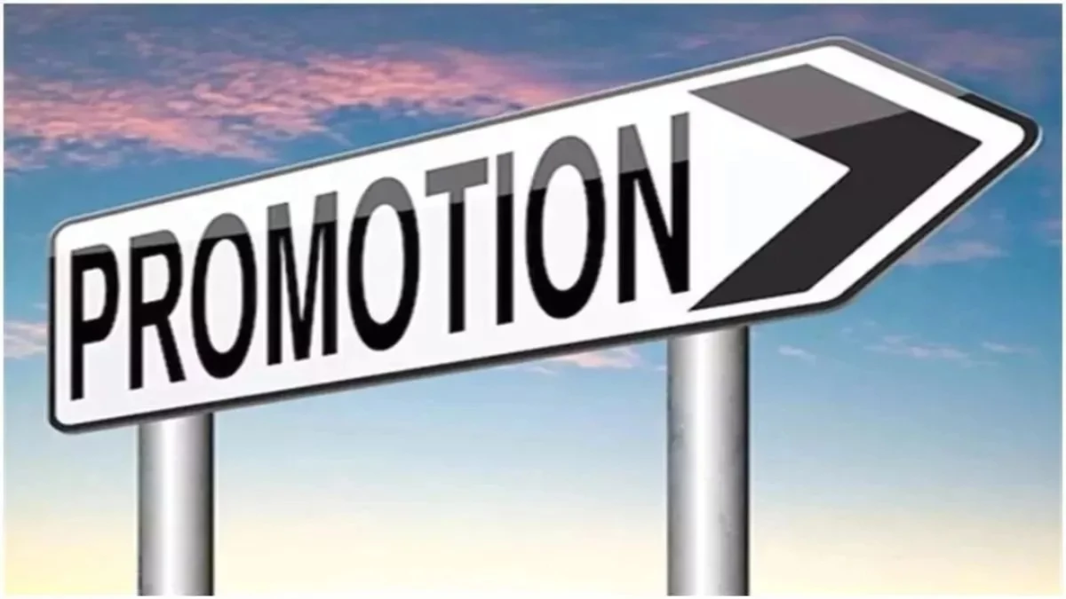 MP Promotion New Rule पर 'काउंटडाउन' शुरू... 38 याचिकाओं पर 16 दिसंबर को तय होगा भविष्य