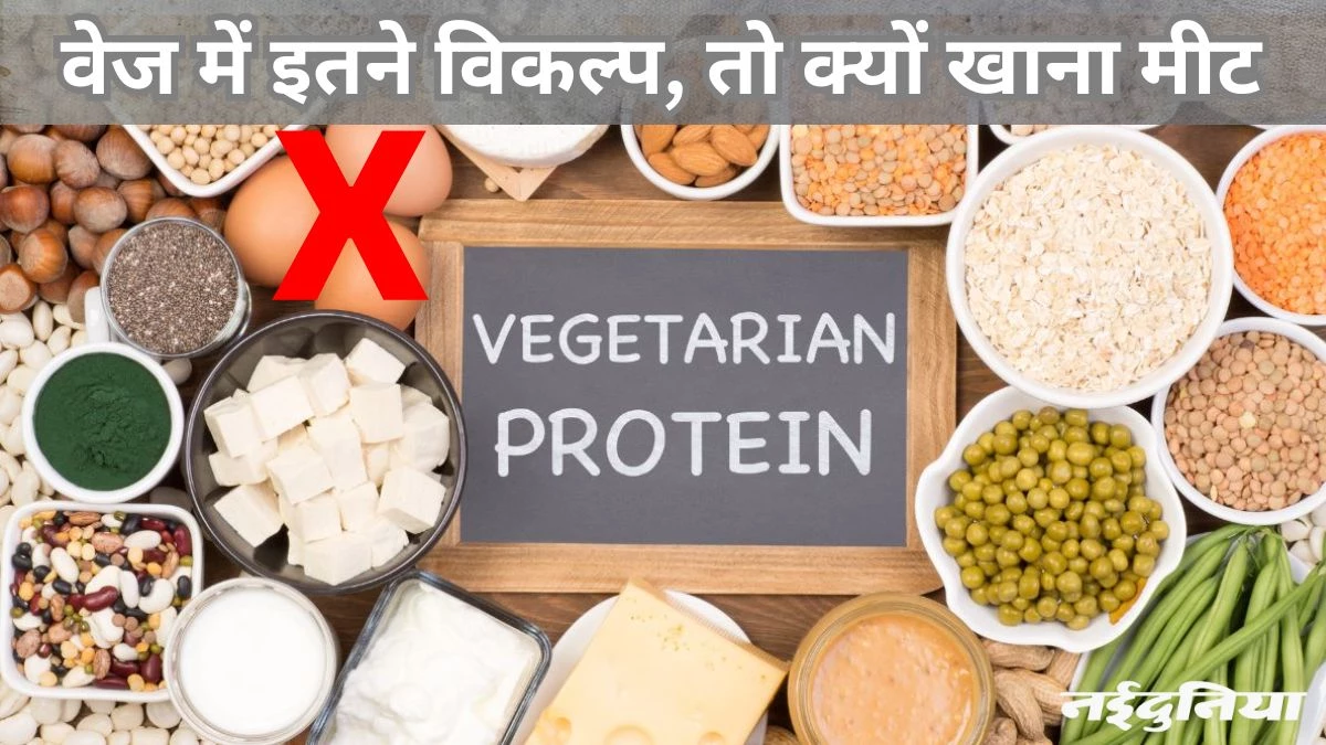 मीट से ज्यादा प्रोटीन मिलता है इन प्लांट बेस्ड फूड्स में, आज से करें अपनी डायट में शामिल