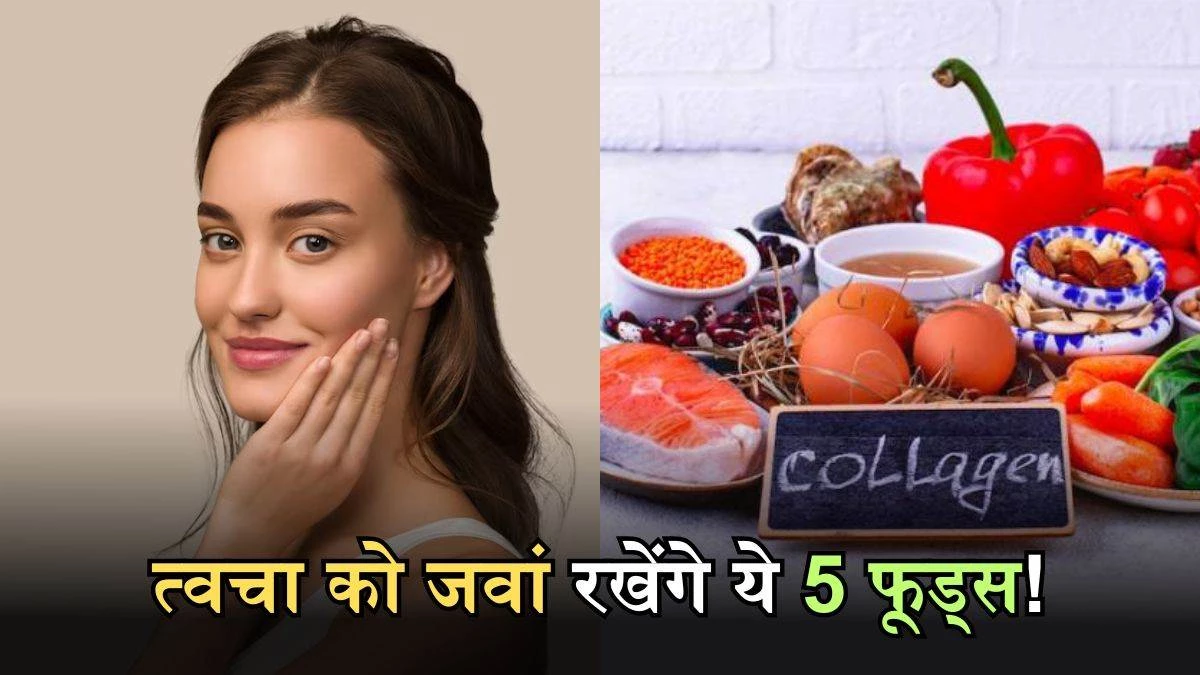 30 की उम्र के बाद जरूर खाएं ये 8 चीजें, नेचुरली बढ़ेगा कोलेजन; चेहरे की झुर्रियां होंगी गायब
