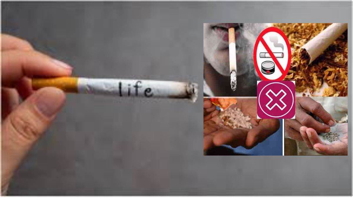 Bilaspur News: स्कूली बच्चों ने जाना कैसे तंबाकू का उपयोग पहुंचाता है हानि