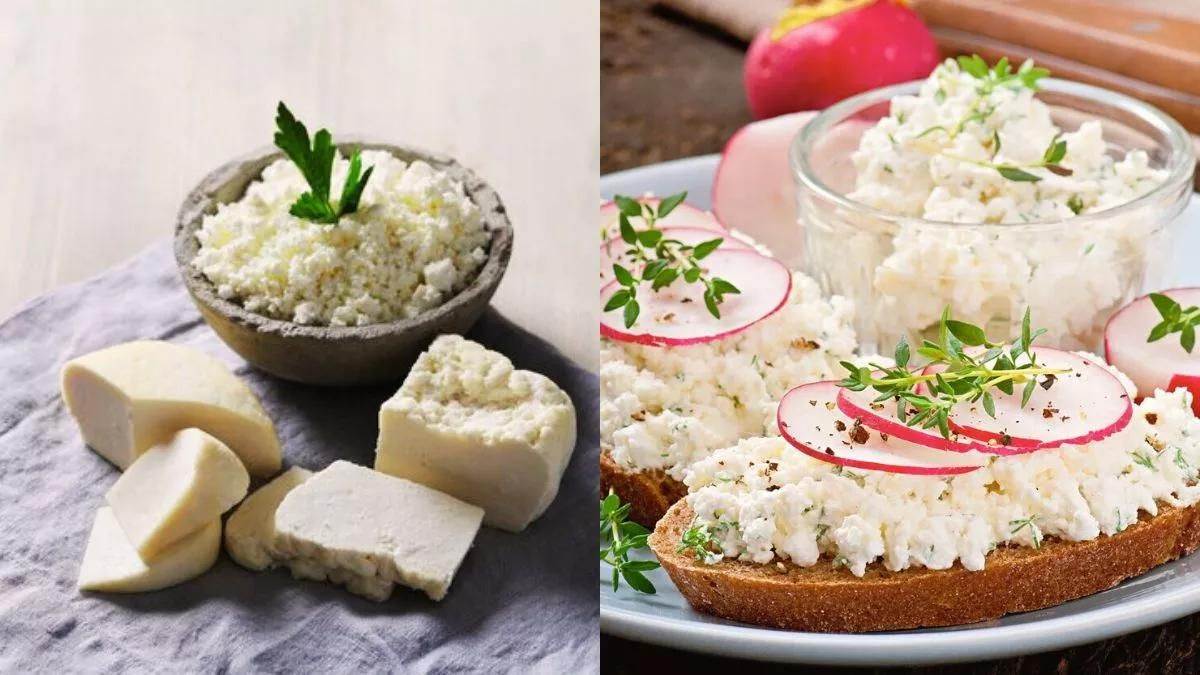 Raw Cottage Cheese डाइट में कच्चा पनीर शामिल करने के लिए अपनाएं ये