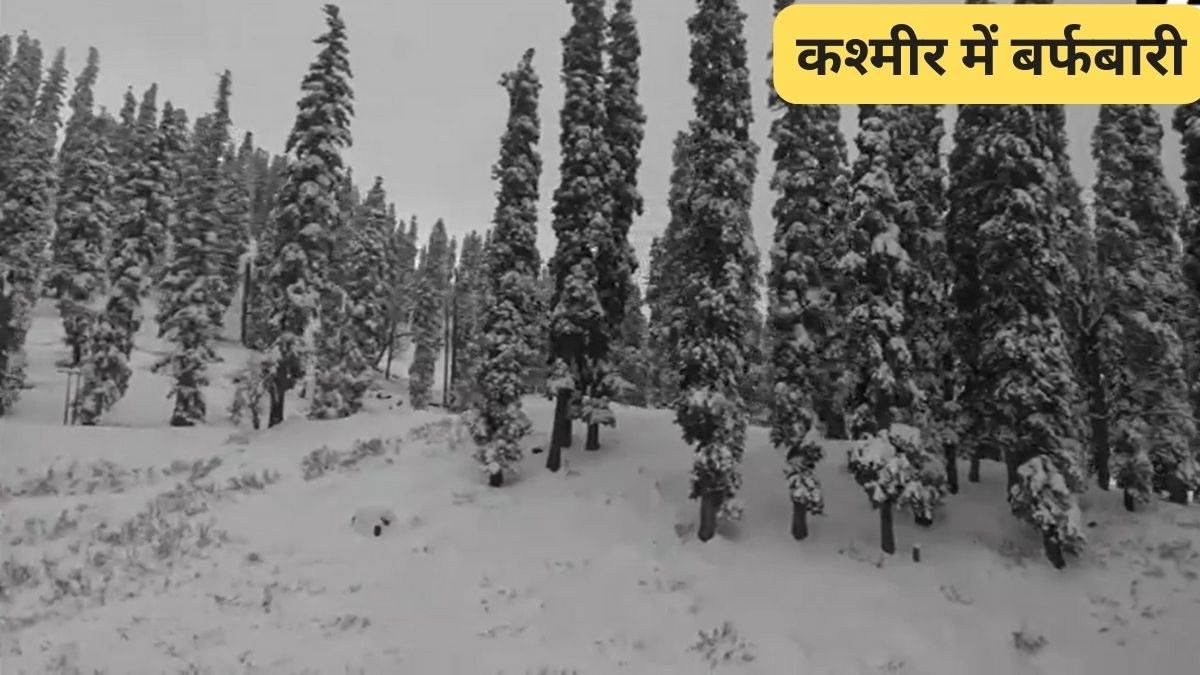 Climate Replace: मनाली और गुलमर्ग में भारी बर्फबारी, इन राज्यों में आज हो सकती है बारिश