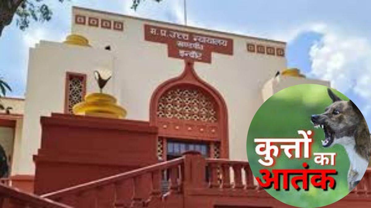 श्वानों के काटने के मामलों को लेकर हाई कोर्ट की तल्ख टिप्पणी, ‘इंदौर में सुप्रीम कोर्ट के आदेश का पालन तक नहीं होता’