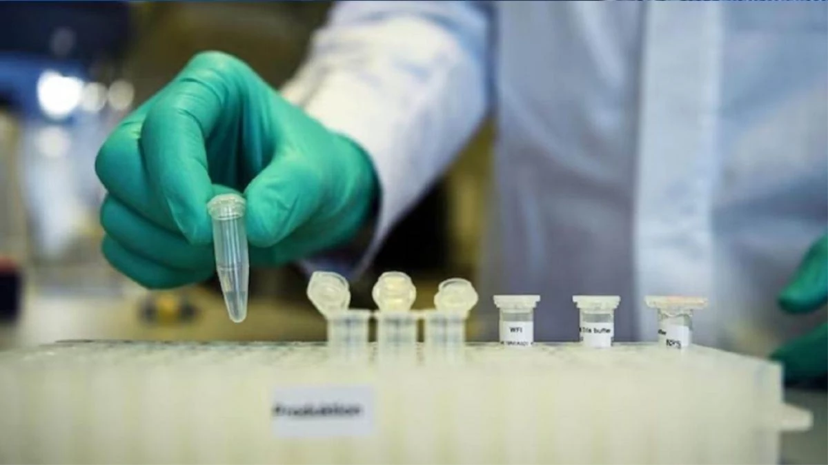 इबोला-बर्ड फ्लू जैसे घातक वायरस से लड़ने के लिए बनेगा राष्ट्रीय लैब नेटवर्क, भोपाल निहसाद में तैयारी शुरू