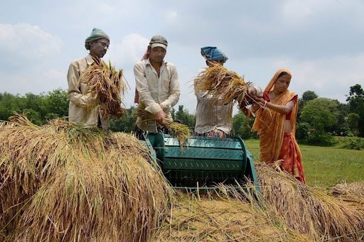 Harvesting Wheat Costlier Rent Increased By Five Hundred Rupees