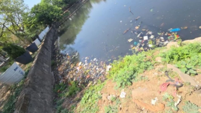 भोपाल के छोटे तालाब के वजूद पर संकट, एनजीटी ने केंद्र और राज्य सरकार सहित सात विभागों को जारी किया नोटिस