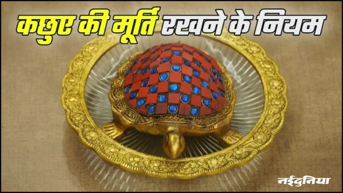 लक्ष्मी का साक्षात रूप है कछुआ, इस दिशा में रखने से बरसेगा धन, लेकिन पहले जान लें ये जरूरी नियम