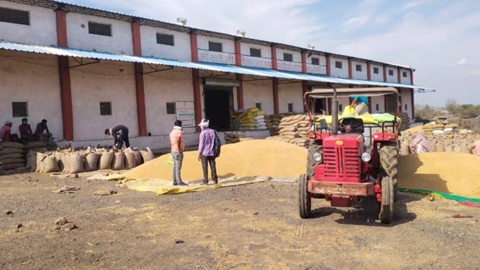 MP मे बार-बार गेहूं उपार्जन की तारीख बढ़ाने से भारतीय किसान संघ नाराज, आंदोलन की दी चेतावनी, तीसरी बार बढ़ी है तिथि