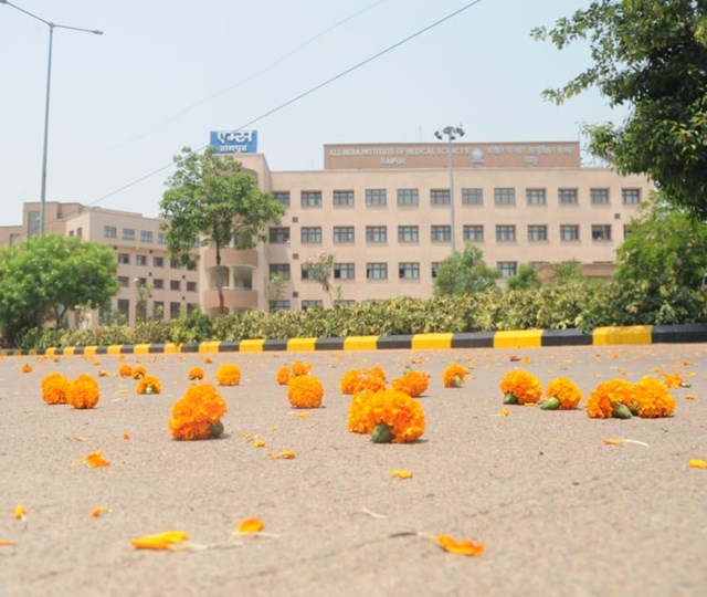 वायुसेना की कोरोना वॉरियर्स को सलामी