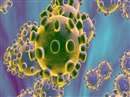 Coronavirus Dewas News: Corona took family in Dewas, fifth death in 18 days