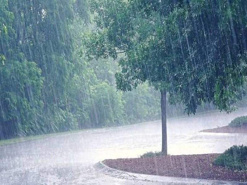 Weather Forecast: दिल्ली समेत कई राज्यों में बारिश के आसार जानिए मौसम का  पूर्वानुमान - Weather forecast chances of rain in many states including  delhi know weather update