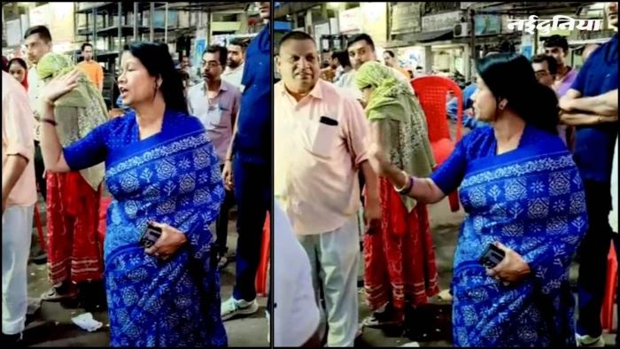 'गुस्सा आया तो लगा दूंगी थप्पड़...', दुर्ग महापौर का झापड़ वाला वीडियो वायरल, ठेले वाले पर भड़कीं मेयर