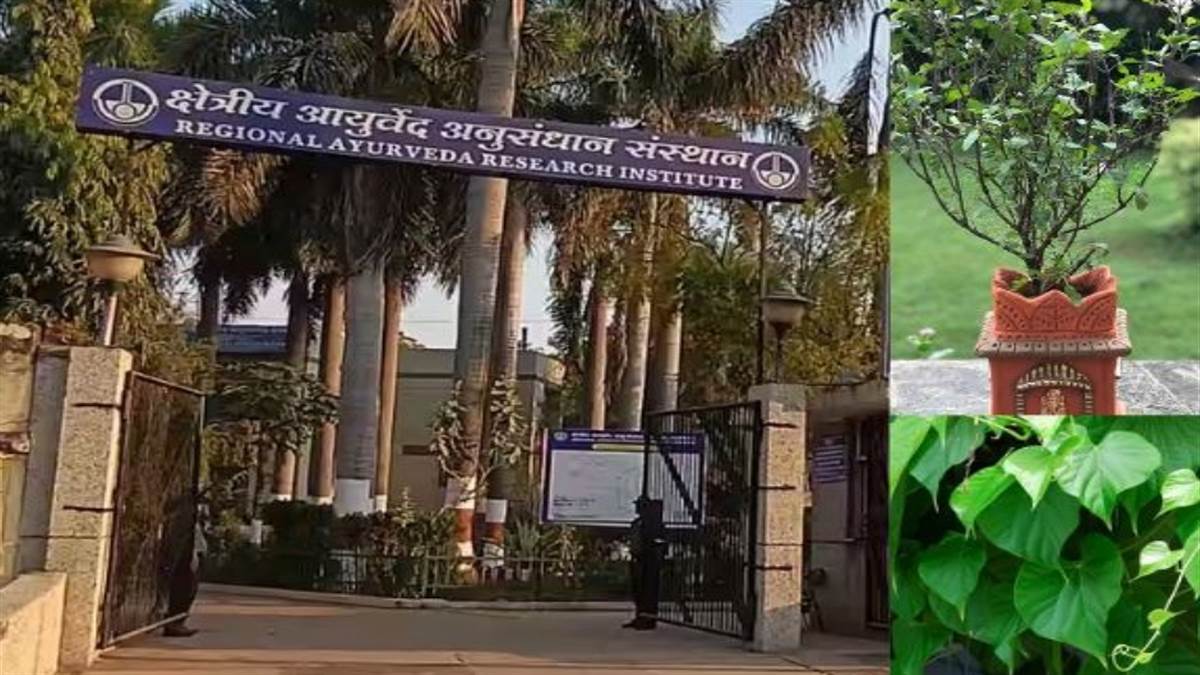 ग्वालियर की आयुर्वेद में अनोखी पहल: अब घर-घर उगेगी ‘दवाई’, दतिया-शिवपुरी से शुरू होगा 10 औषधीय पौधों वाला हेल्थ मिशन