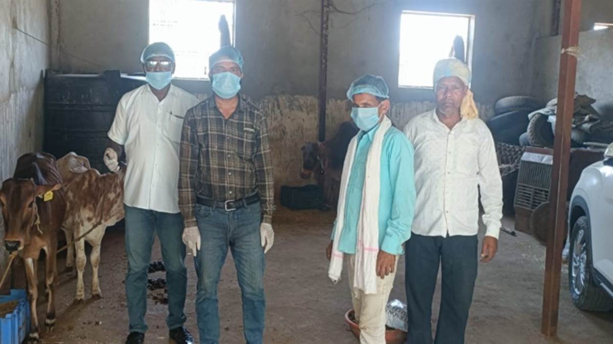 मध्य प्रदेश के दो टाइगर टाइगर रिजर्व गंभीर वायरस की जद में, उमरिया में भी किया अलर्ट