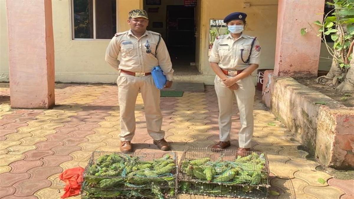 Jabalpur News चित्रकूट एक्सप्रेस से लखनऊ से जबलपुर सांप लेकर आ रहे