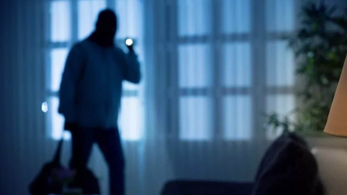गोदाम में नौकर ही कर रहा था चोरी, कैमरे ने खोला राज, पुलिस ने पकड़ा