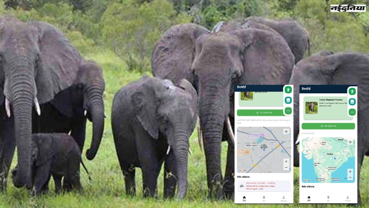 छत्तीसगढ़ में अब Mobile App बचाएगा हाथियों से लोगों की जान, NIT Raipur में डेवलप हो रहा System