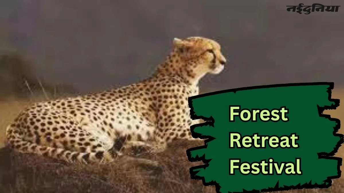MP Tourist Festival: गांधी सागर फॉरेस्ट रिट्रीट 12 सितंबर से, पांच अक्टूबर से शुरू होगी कूनो फॉरेस्ट रिट्रीट