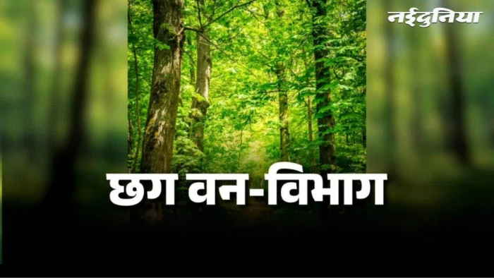 03_09_2026-chhattisgarh_ifs_officers_3aug_m.webp