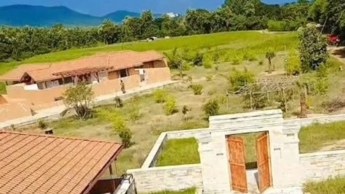 पन्ना टाइगर रिजर्व के कोर में बने रिसॉर्ट पर अब हाई कोर्ट ने दिया छतरपुर कलेक्टर को यह निर्देश