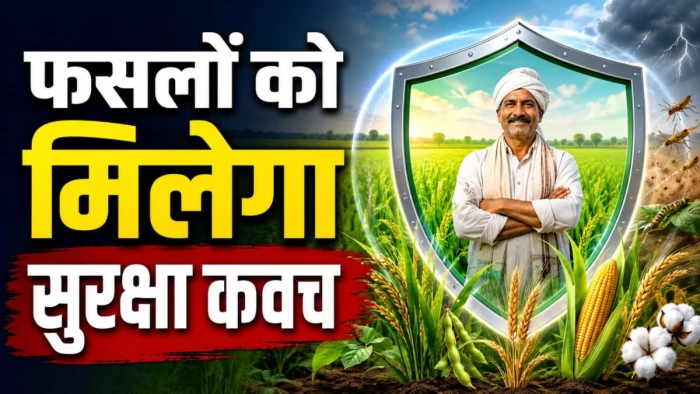 एमपी में अगले साल से लागू होगी मौसम आधारित फसल बीमा योजना, टमाटर-मिर्च से लेकर केला-पपीता तक का होगा बीमा