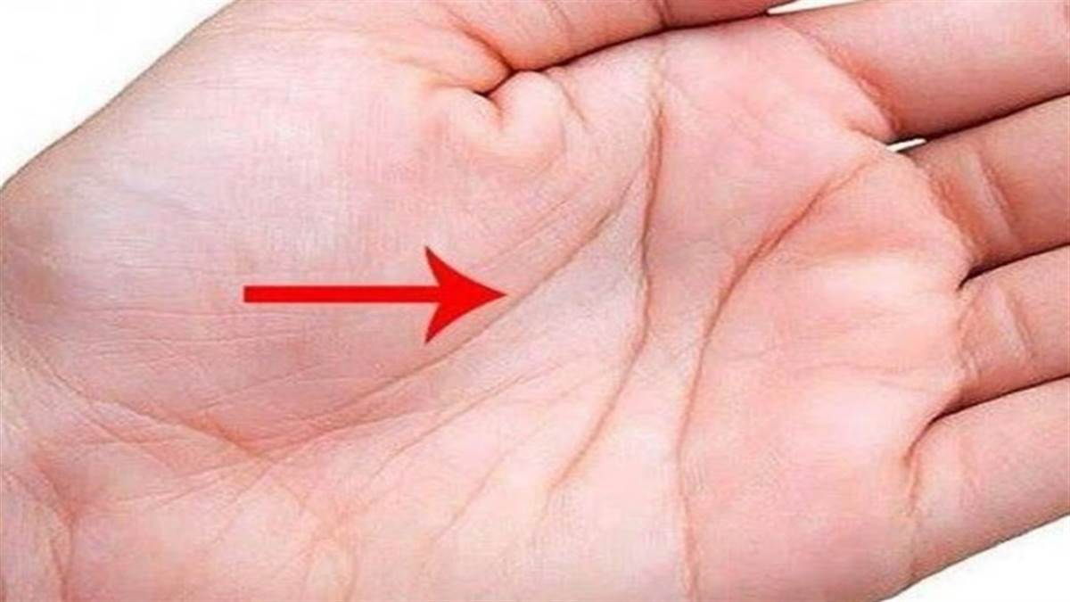 Palmistry: अगर आपकी हथेली पर बना है ये निशान तो समझिए क्या होगा - Palmistry  Know what are signs of small marks on Your life line