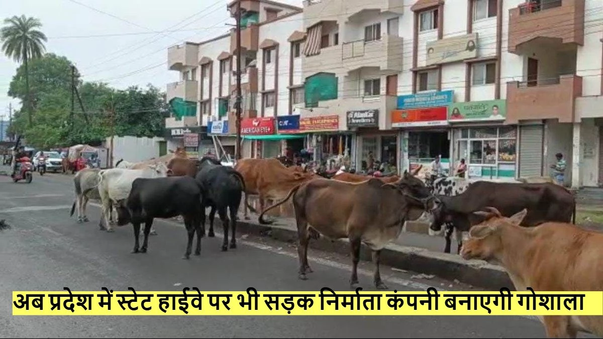 MP: स्टेट हाईवे होंगे बेसहारा गोवंश मुक्त, कंपनियां बनाएंगी गोशाला, 5 किमी के दायरे में होगा बाड़ा
