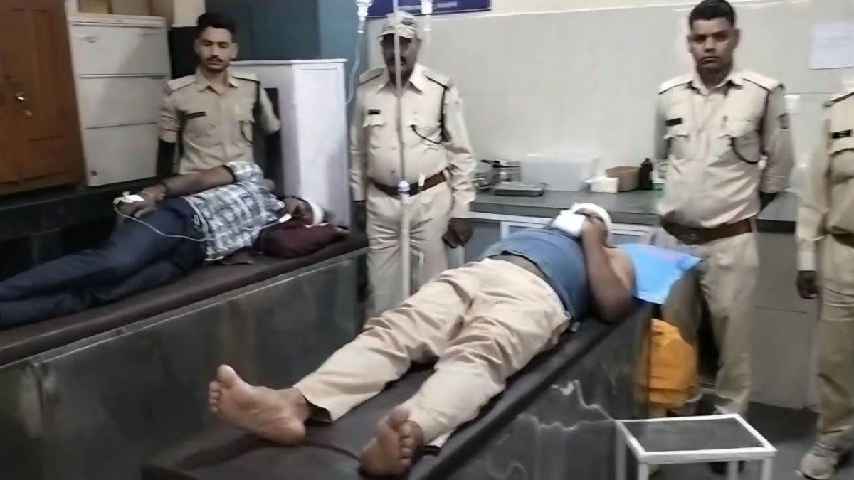 बैतूल में वन विभाग की टीम पर हमला, मवेशी चराने से रोकने गए वनरक्षकों को लाठी-कुल्हाड़ी से पीटा, दो की हालत गंभीर