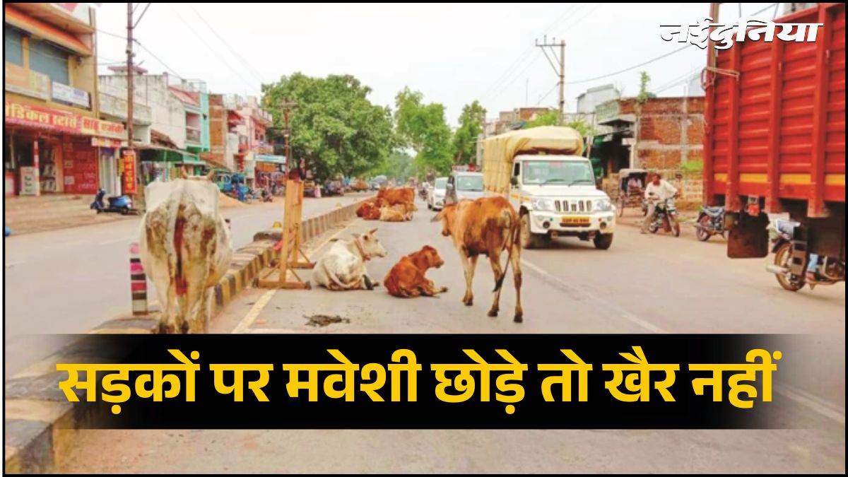 छत्तीसगढ़ में सड़कों पर गाय-बैल-भैंस छोड़े तो खैर नहीं, 12 अंकों की डिजिटल टैगिंग से होगी पहचान, SC के आदेश पर नियम सख्त