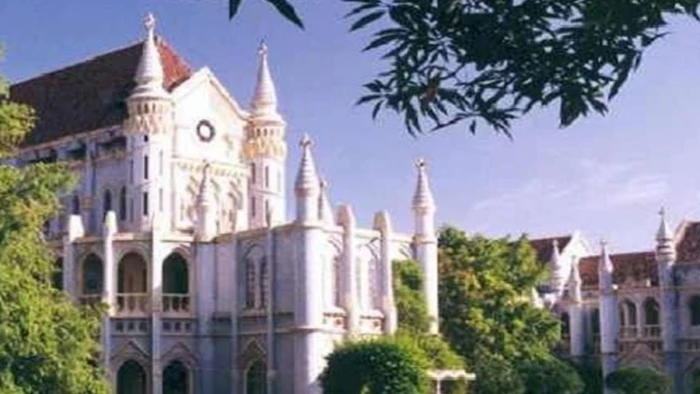 रीवा सड़क हादसा मामले में हाई कोर्ट ने कहा - एजेंट ने प्रीमियम हड़पा फिर भी बीमा कंपनी को देना होगा क्लेम