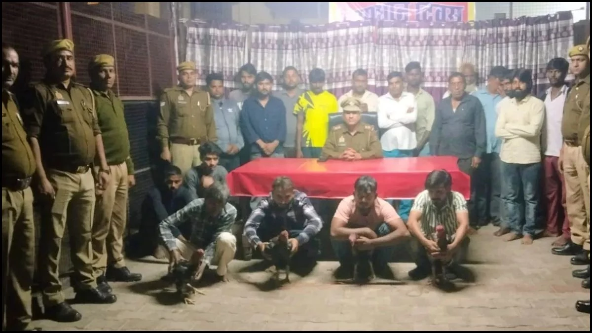 UP में मुर्गा लड़ाई के नाम पर जुआ का खेल... 20 आरोपी गिरफ्तार, 9 जिंदा मुर्गे और 11 बाइक बरामद