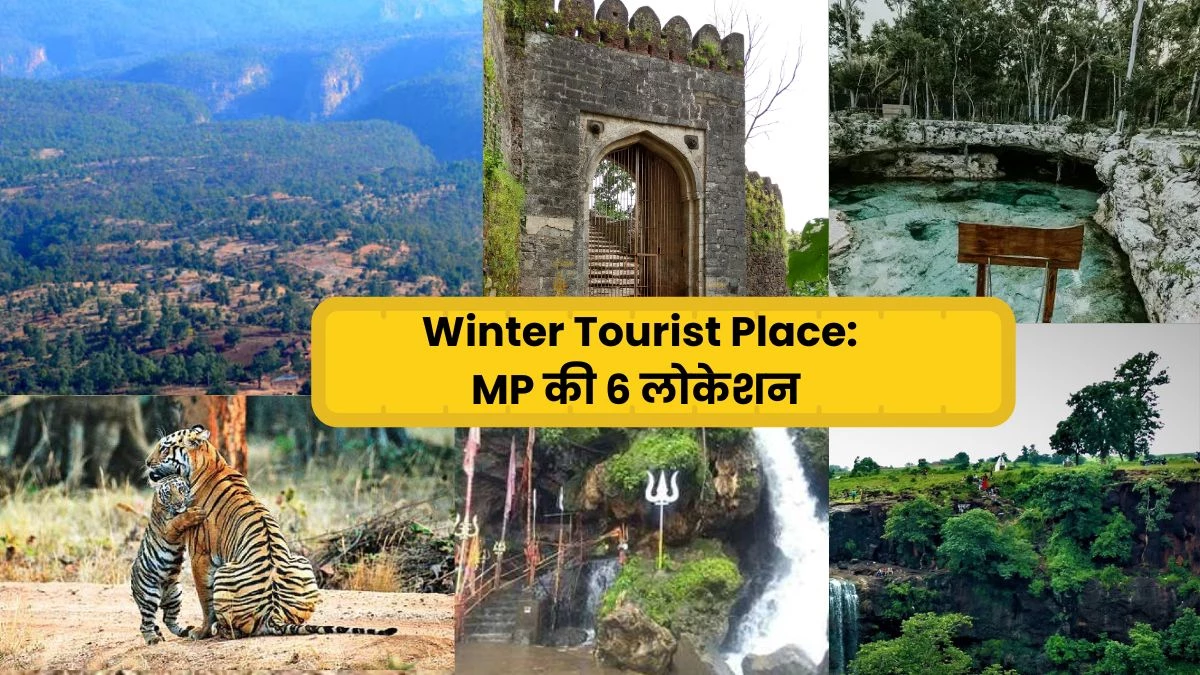 Winter Tourist Place: MP की ये 6 लोकेशन ठंड में लोगों की पहली पसंद, उमड़ते हैं हजारों टूरिस्ट