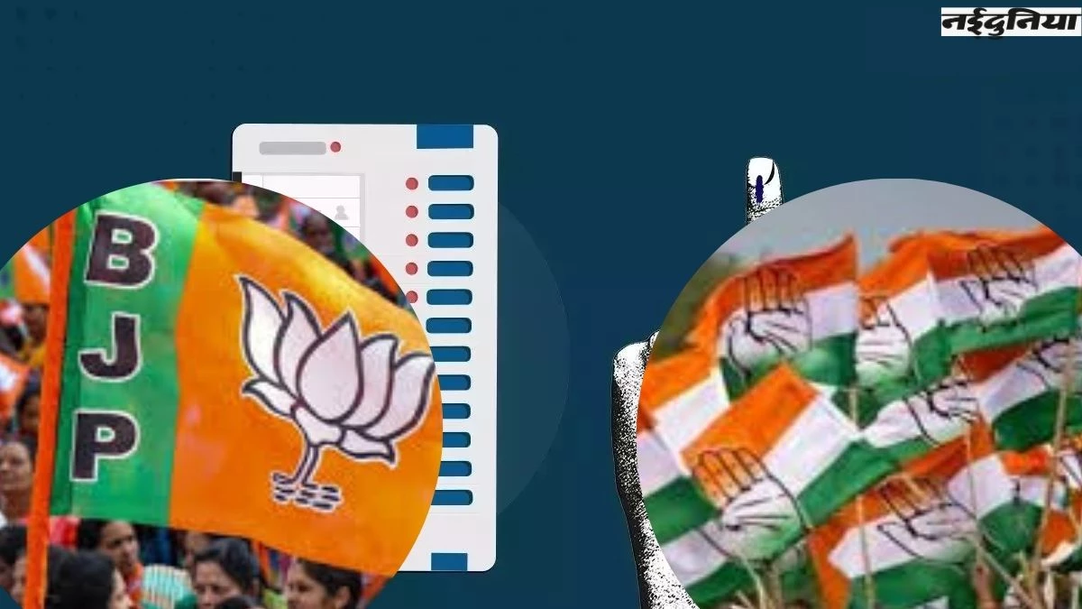 केरल के मुन्नार में भाजपा की 'सोनिया गांधी' कांग्रेस के खिलाफ लड़ रही चुनाव