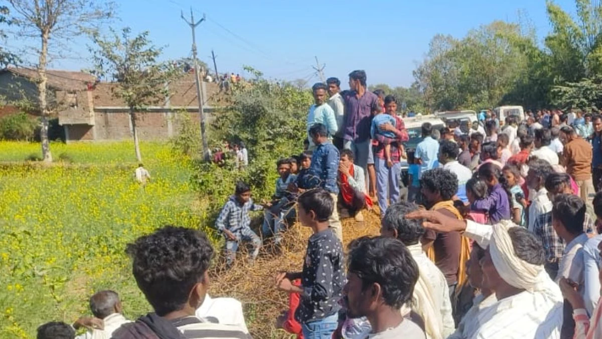 Tiger in Balaghat: खेत में पहुंचे किसान को आराम फरमाता मिला टाइगर, दहाड़ते ही जान बचाकर भागे