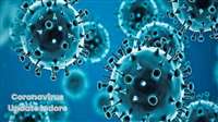 Coronavirus Update Indore: शुक्रवार को जांचे 108 सैंपल, राहत की बात किसी में भी संक्रमण नहीं मिला